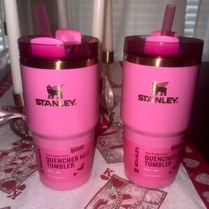 Wicked Stanley Glinda 20oz